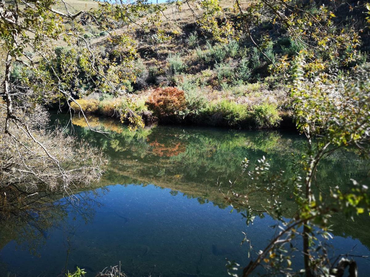 Treur River Lodge Moremela Екстериор снимка